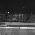 Динамо Київ - Зоря Луганськ [29/10/2008] 1/8 фіналу Кубку України 