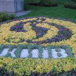 Стадіон "Динамо" ім. Лобановського