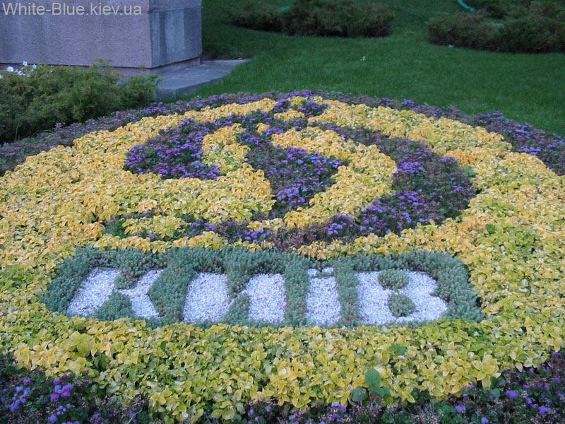 Стадіон "Динамо" ім. Лобановського