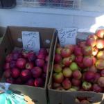 Спартак тіпа чемпіон