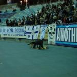 Динамо Київ - Металіст Харків [03/11/2007] 15 тур ЧУ